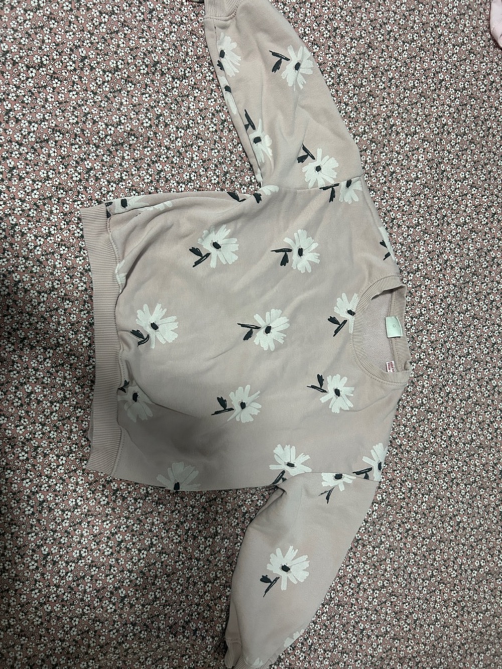 Zara Pink Floral Crewneck Sweater size 6